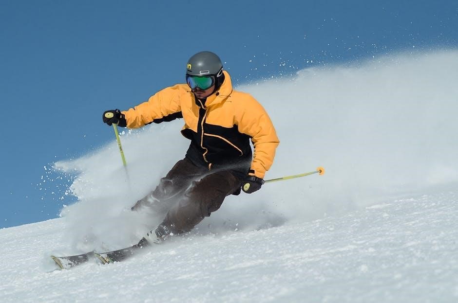 freestyle lite user guide